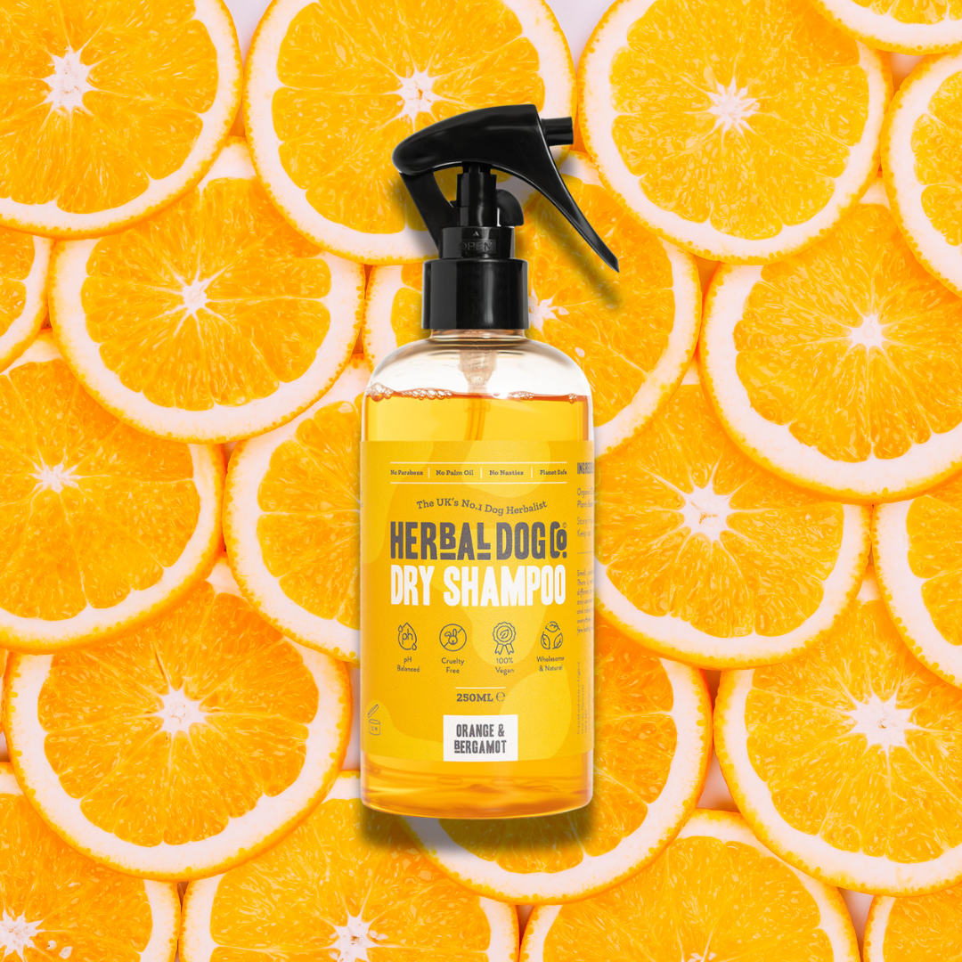 Orange & Bergamot | Botanical Instant Freshening Dry Shampoo