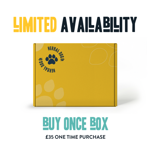 Herbal Heroes Club – one-time natural dog health & supplement care package | Herbal Dog Co