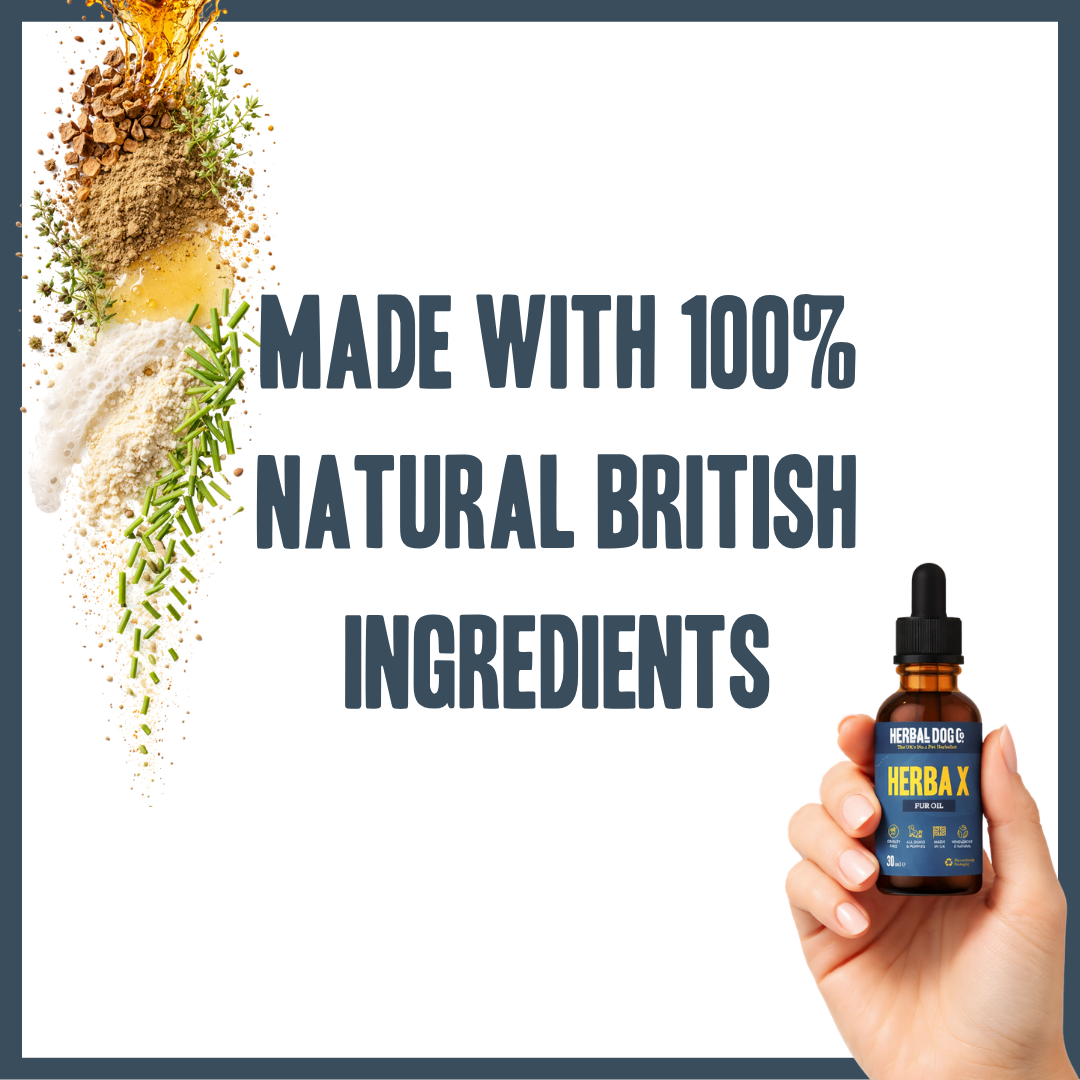 Herba X Aromatic Botanical Coat Oil