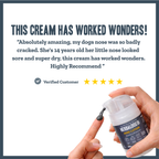 Botanical Nose Comfort Lotion for dogs – natural moisturising dry nose healing lotion | Herbal Dog Co