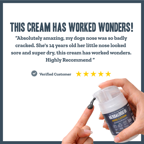 Botanical Nose Comfort Lotion for dogs – natural moisturising dry nose healing lotion | Herbal Dog Co