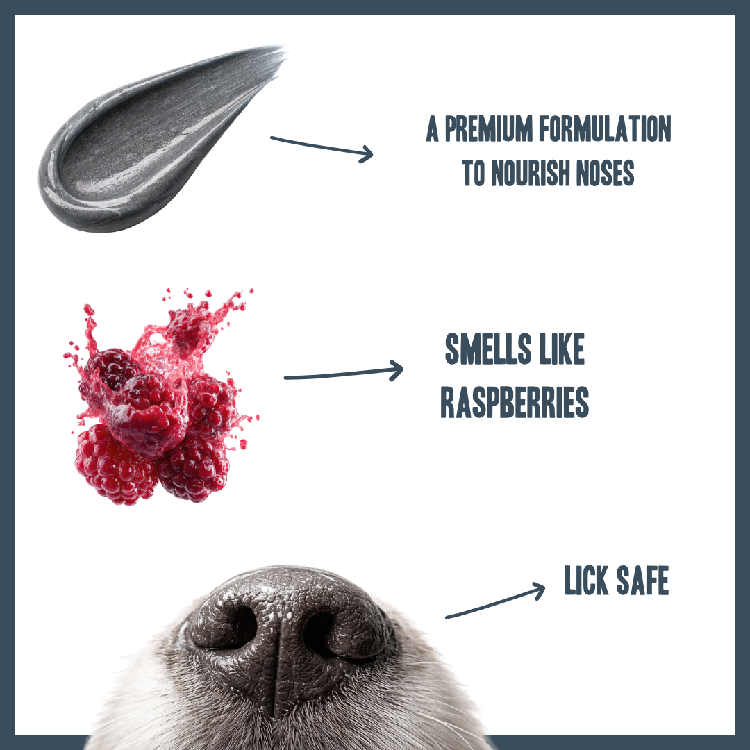 Botanical Nose Comfort Lotion for dogs – natural moisturising dry nose healing lotion | Herbal Dog Co
