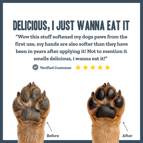Botanical Paw Comfort Cream for dogs – natural moisturising paw protection cream | Herbal Dog Co