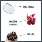 Botanical Paw Comfort Cream for dogs – natural moisturising paw protection cream | Herbal Dog Co