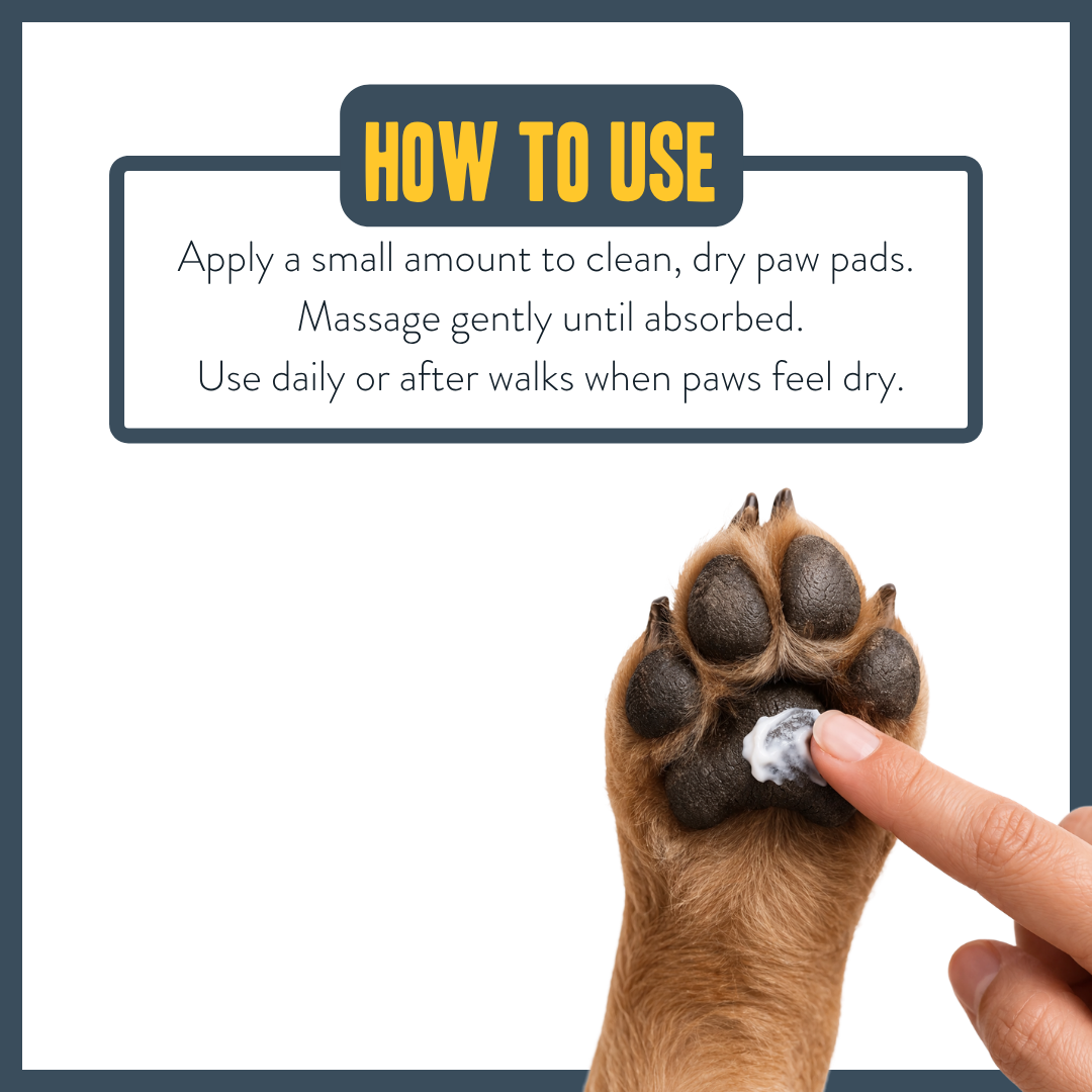 Botanical Paw Comfort Cream for dogs – natural moisturising paw protection cream | Herbal Dog Co