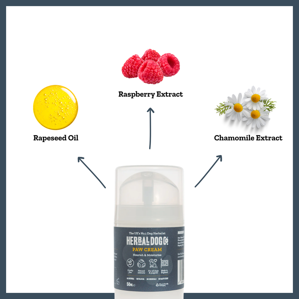 Botanical Paw Comfort Cream for dogs – natural moisturising paw protection cream | Herbal Dog Co