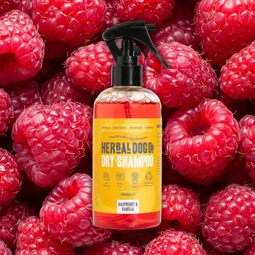 Raspberry & Vanilla | Botanical Instant Freshening Dry Shampoo
