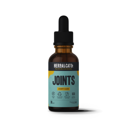 Cat Joint Care Supplement – natural joint mobility support supplement for cats | Herbal Dog Co