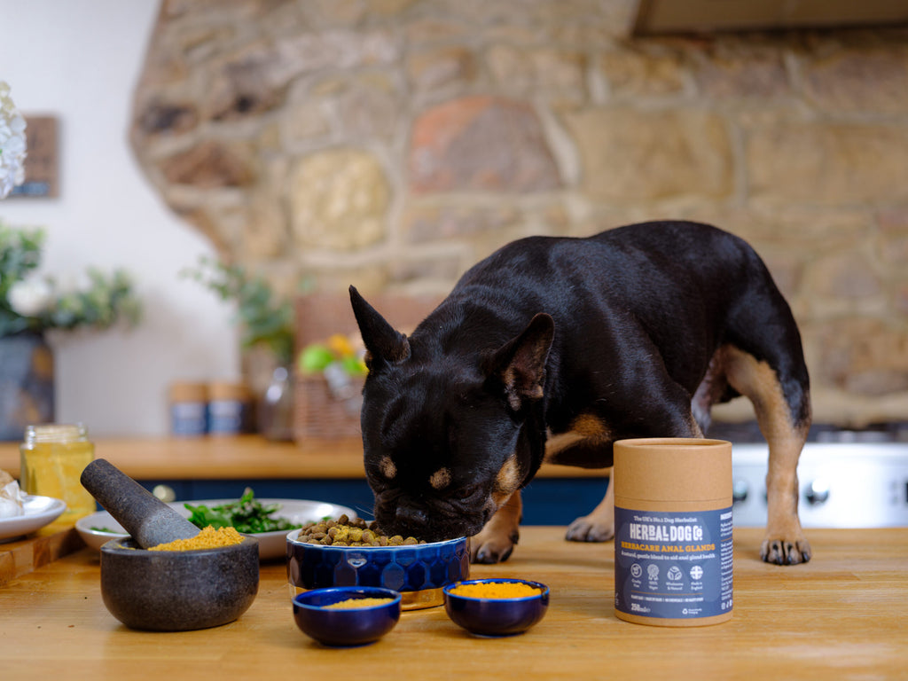 Anal Gland & Stool Support