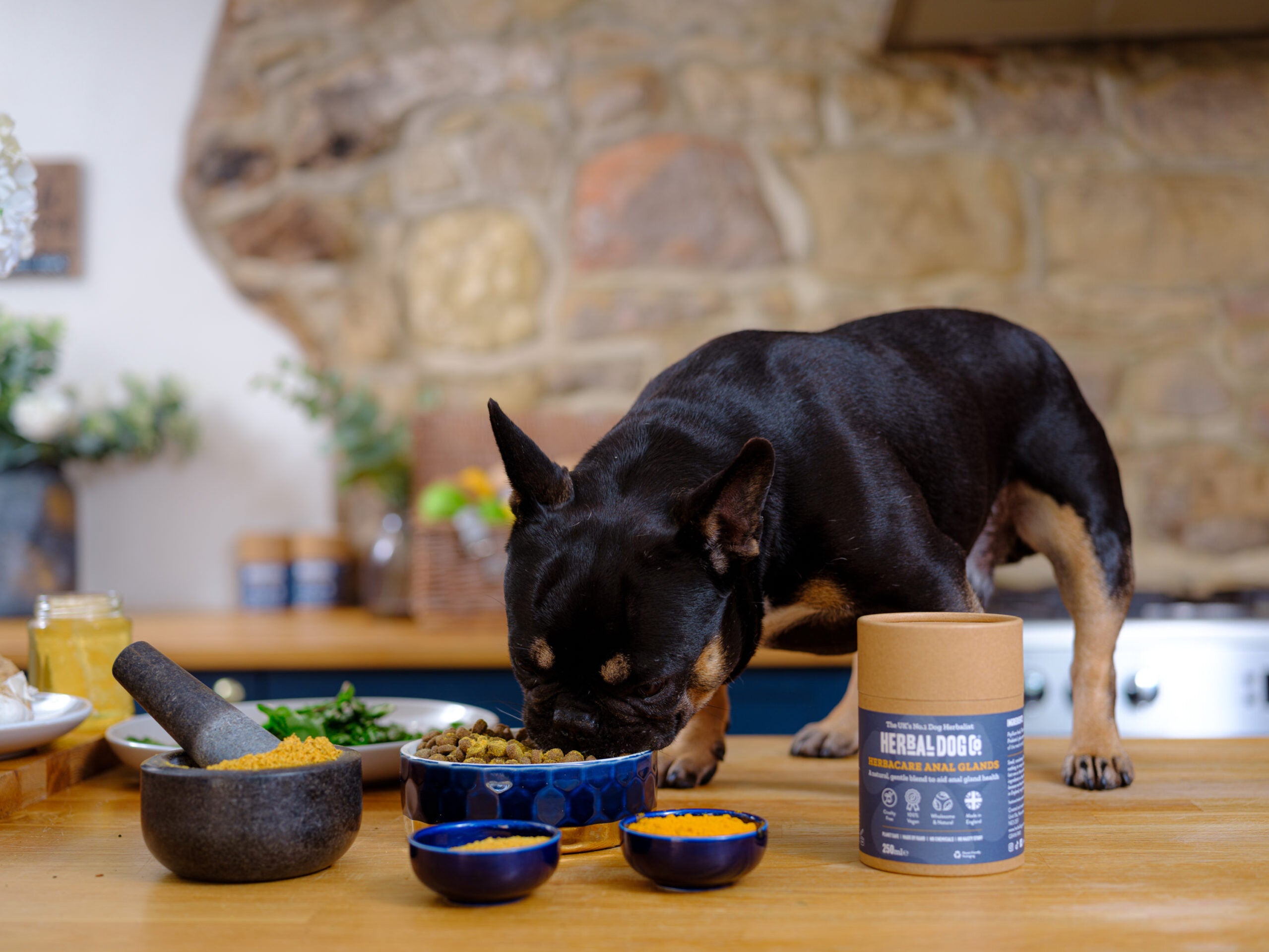 Anal Gland & Stool Support