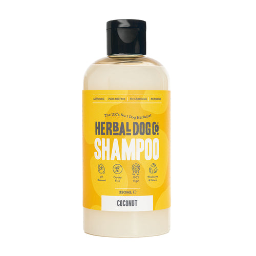 Coconut Shampoo for dogs – gentle everyday botanical coconut wash | Herbal Dog Co