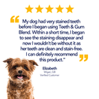 Dental Hygiene Powder