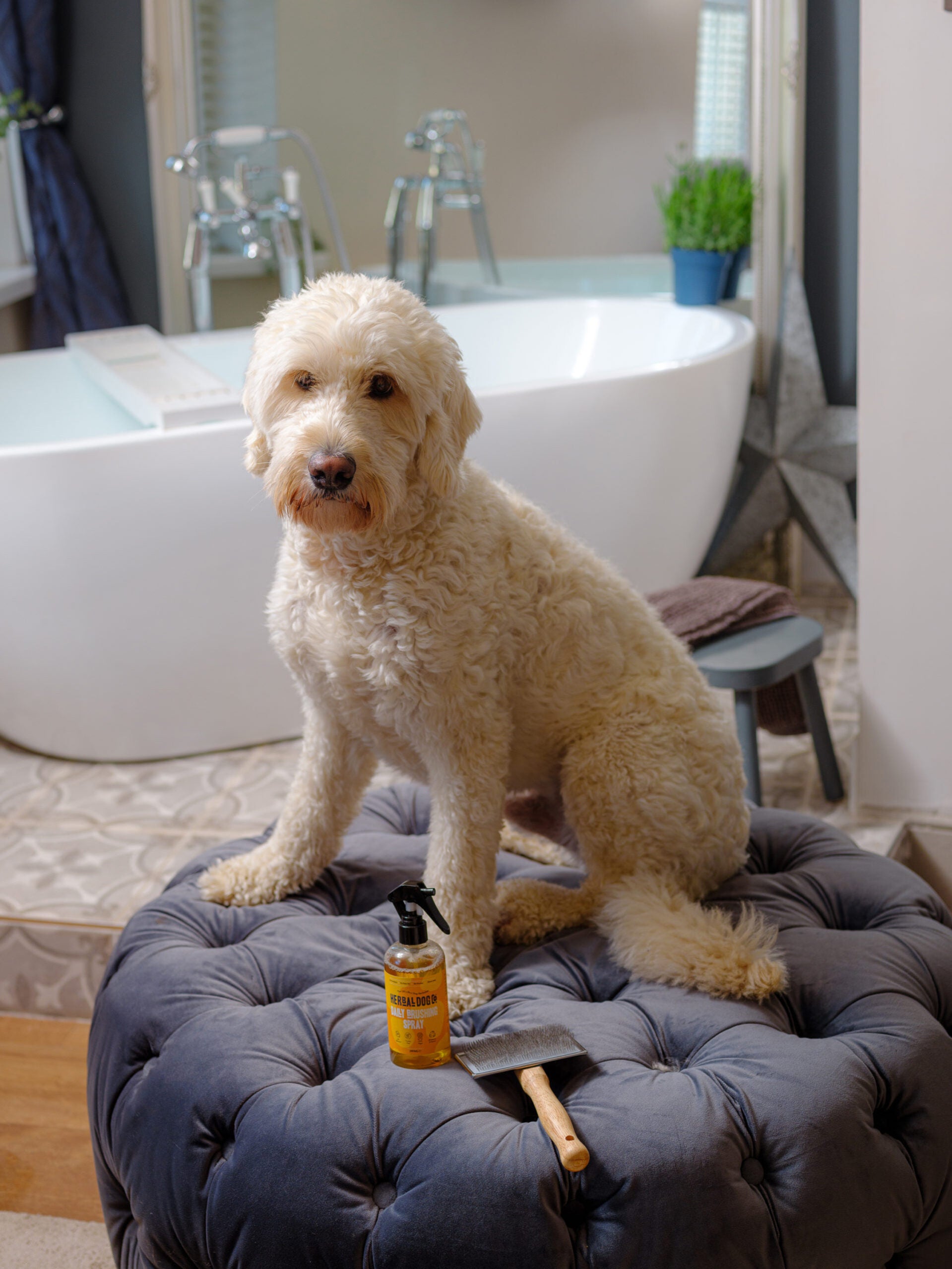 Botanical Knot-Free Brushing Mist