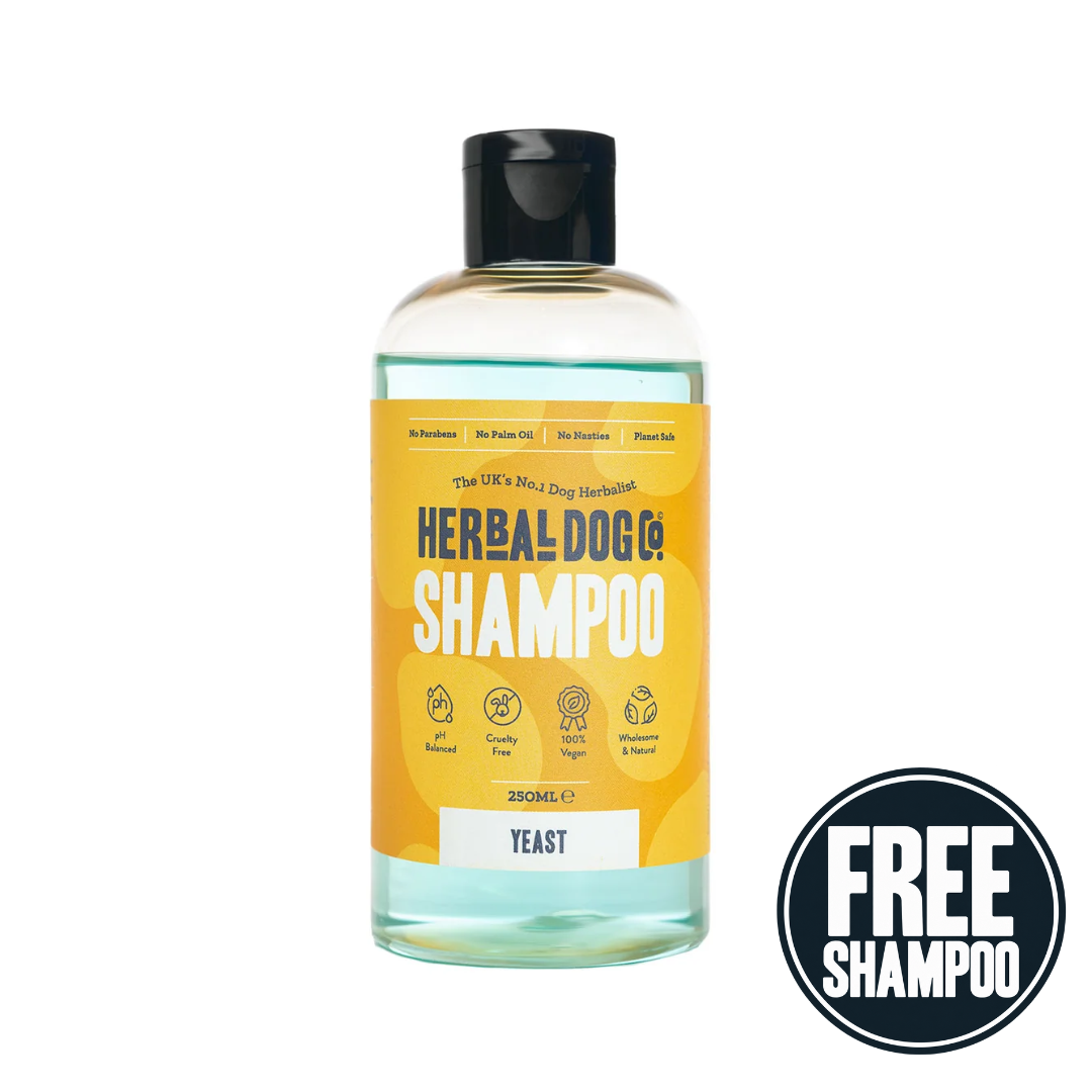 Dermal Balance Yeast Complete Kit