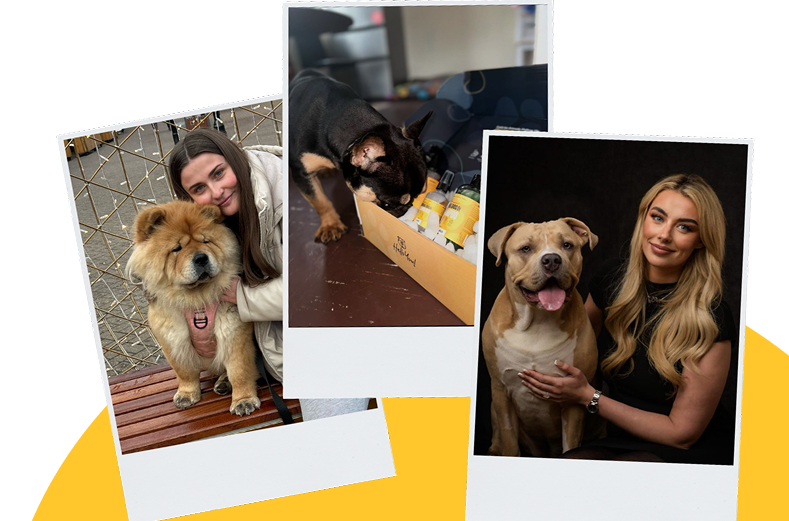 Three polaroid photos of people with dogs