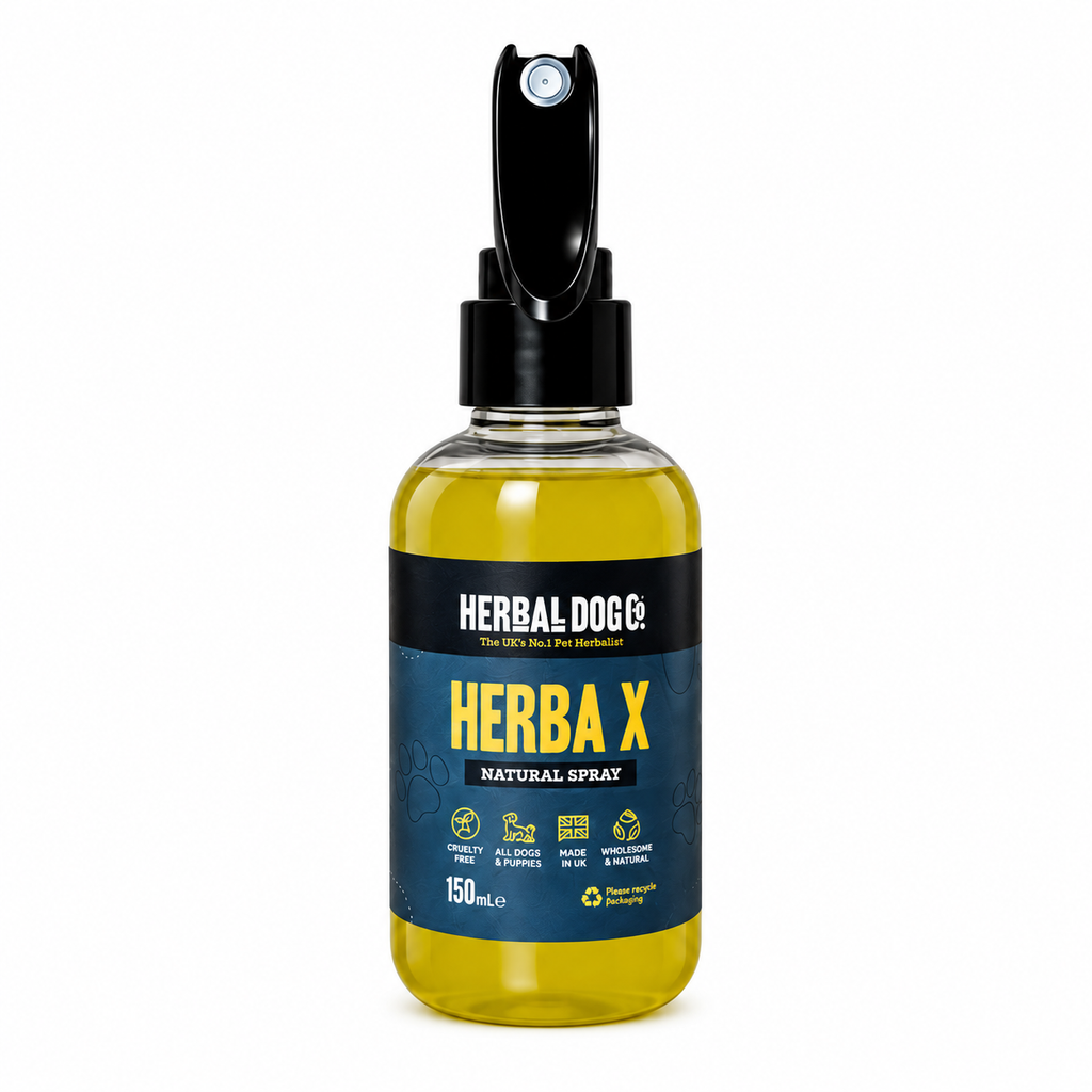 External & Internal Hygiene Complete Kit