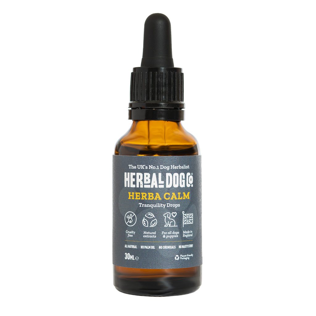 Inner Calm Support Liquid