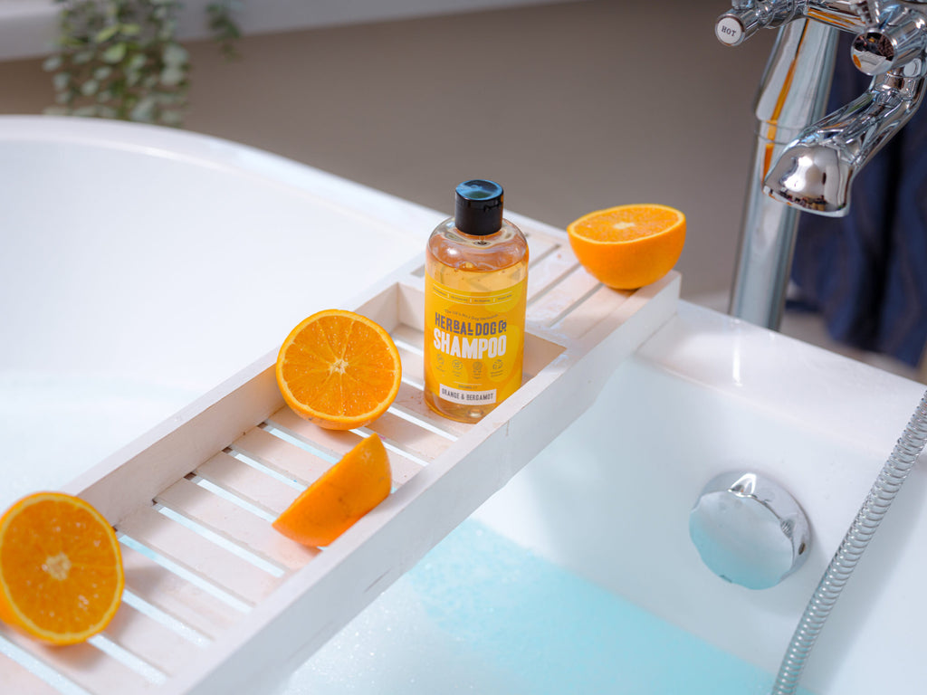 Orange & Bergamot | Botanical Everyday Gentle Wash