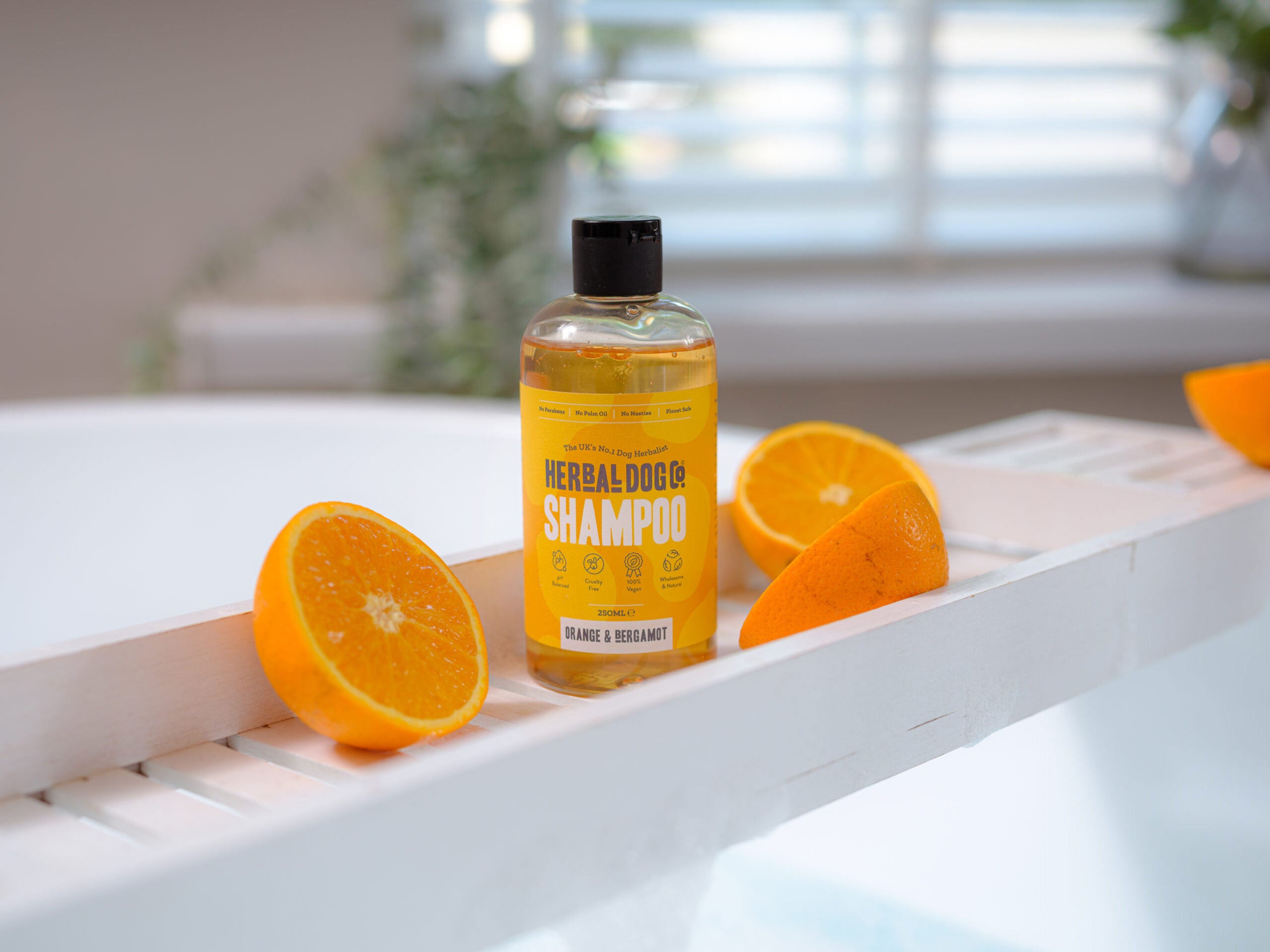 Orange & Bergamot | Botanical Everyday Gentle Wash