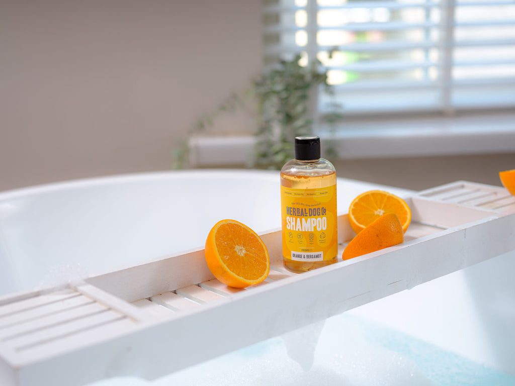 Orange & Bergamot | Botanical Everyday Gentle Wash