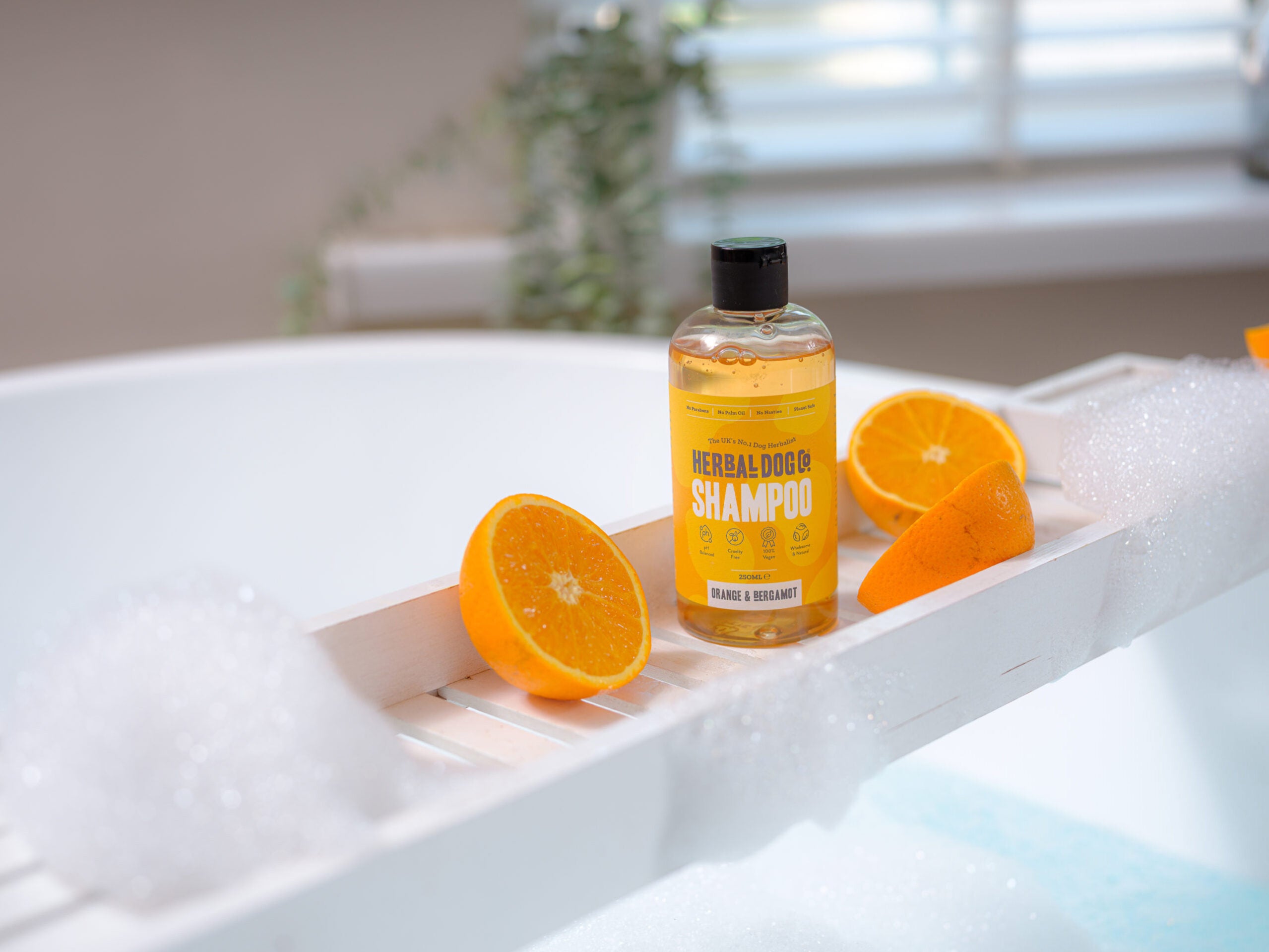 Orange & Bergamot | Botanical Everyday Gentle Wash