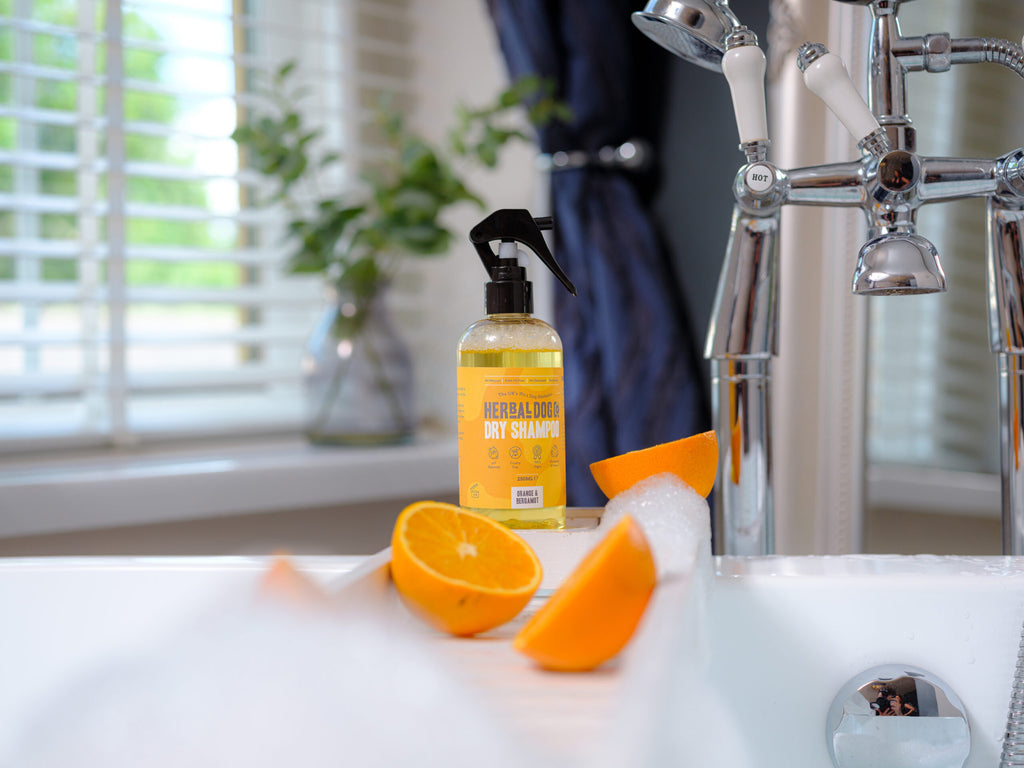 Orange & Bergamot | Botanical Instant Freshening Dry Shampoo