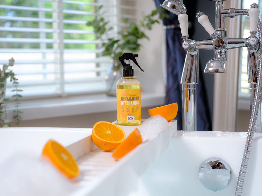 Orange & Bergamot | Botanical Instant Freshening Dry Shampoo