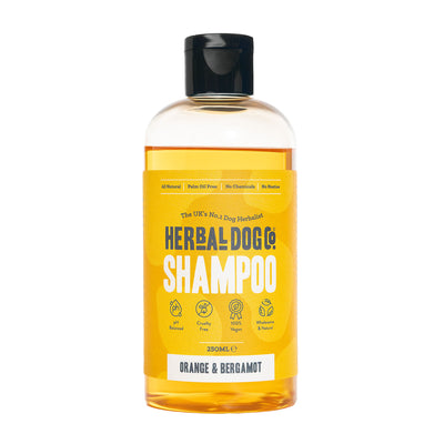 Orange & Bergamot | Botanical Everyday Gentle Wash