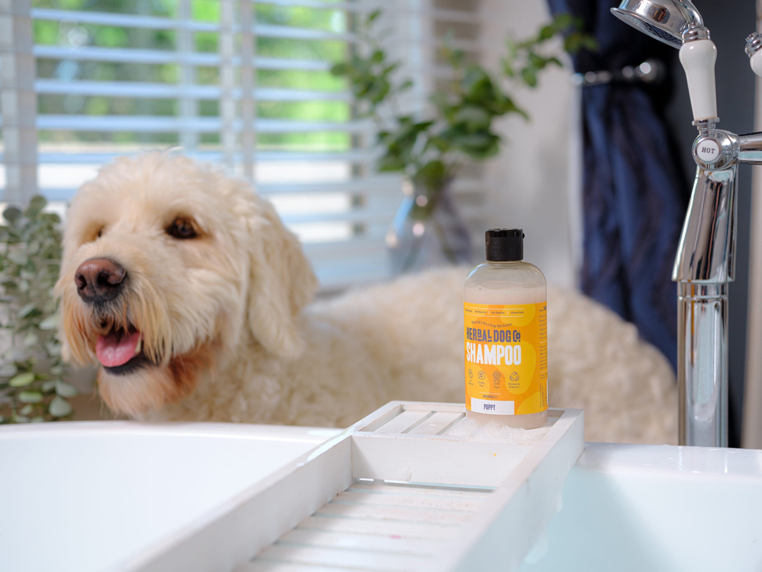 Botanical Puppy Gentle Wash