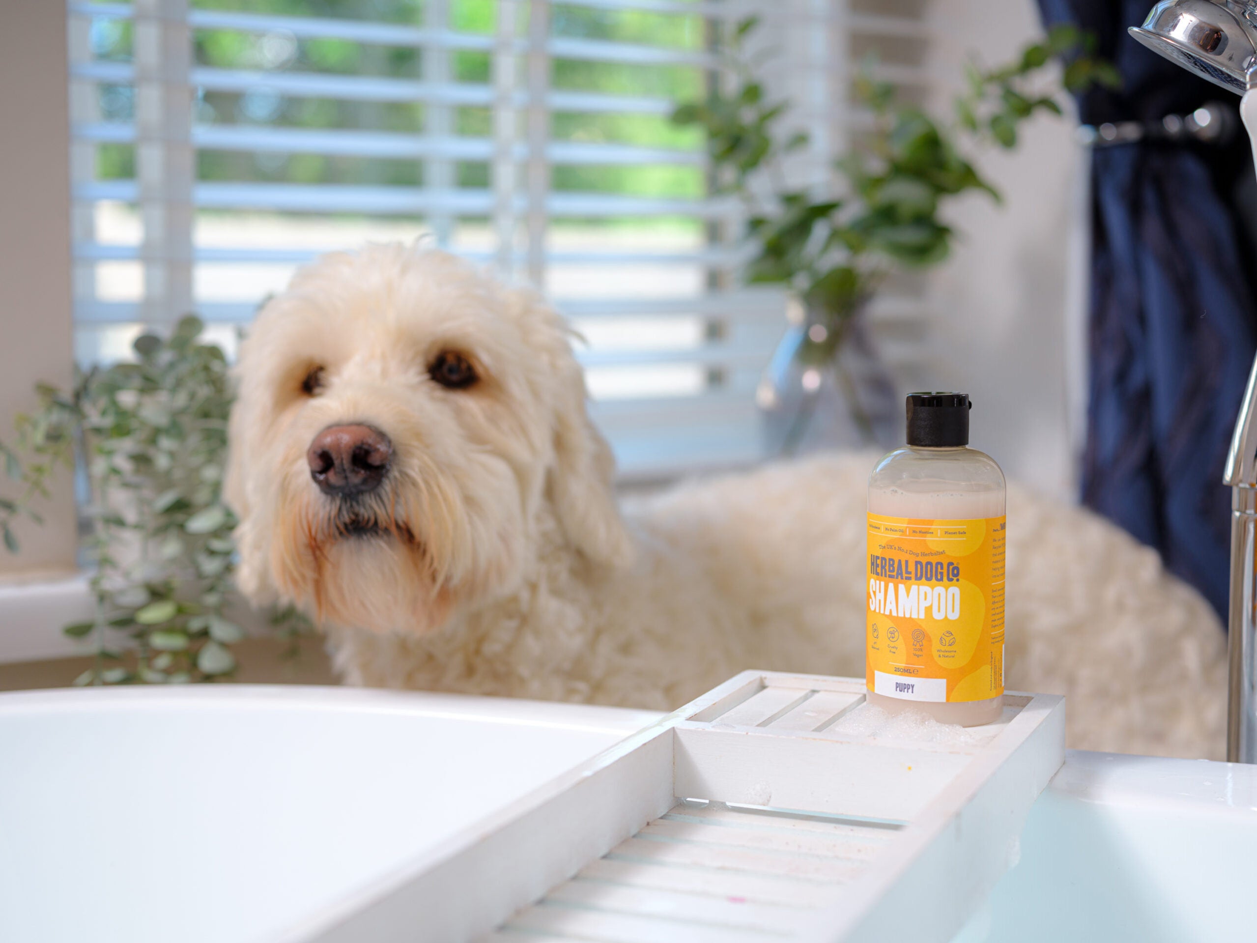 Botanical Puppy Gentle Wash