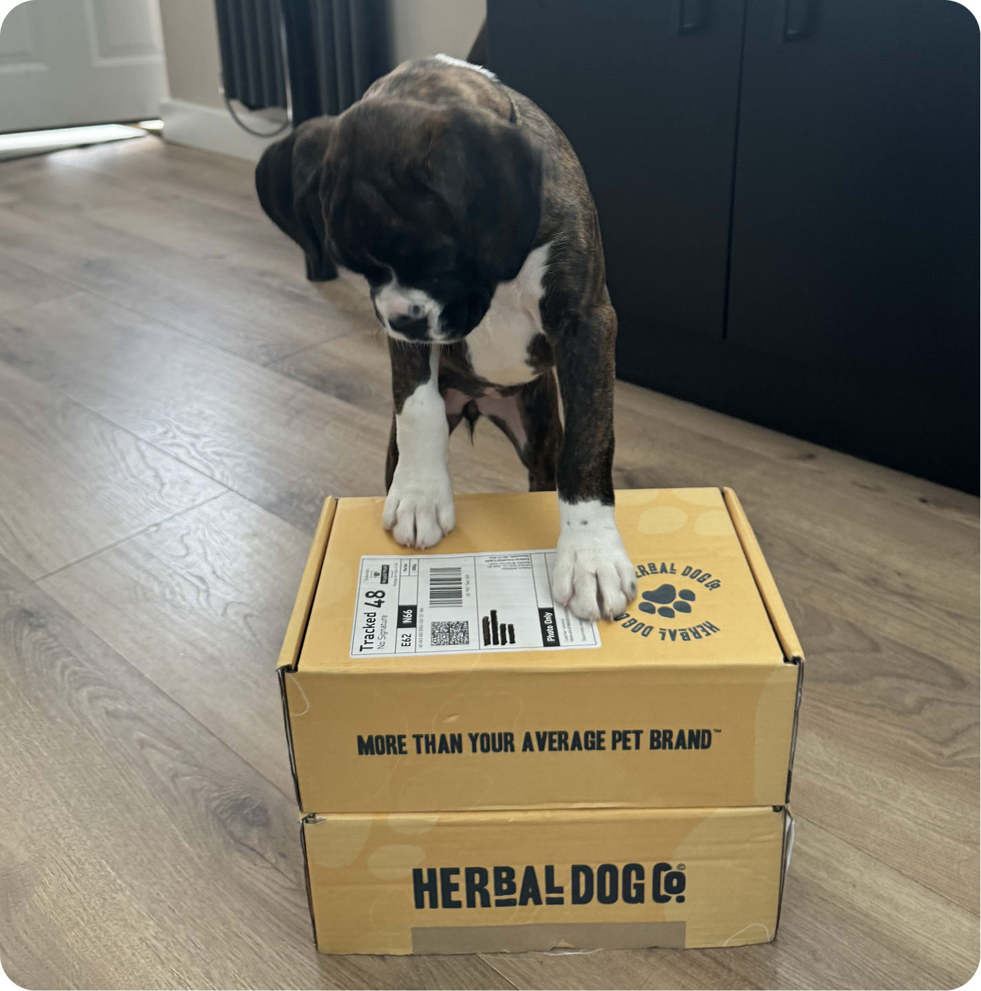 Poop Bags – eco-friendly biodegradable dog waste bags | Herbal Dog Co