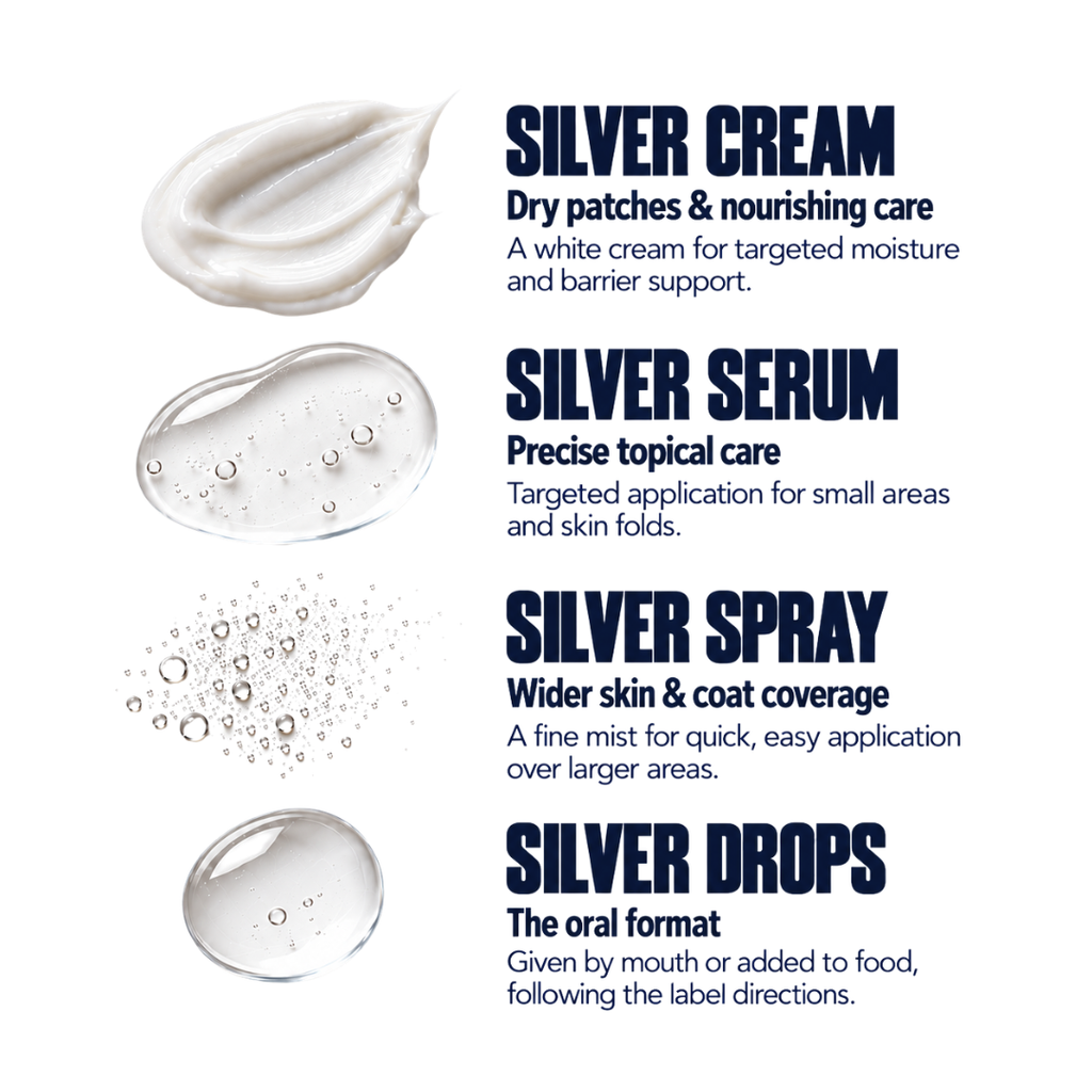 Colloidal Silver Drops