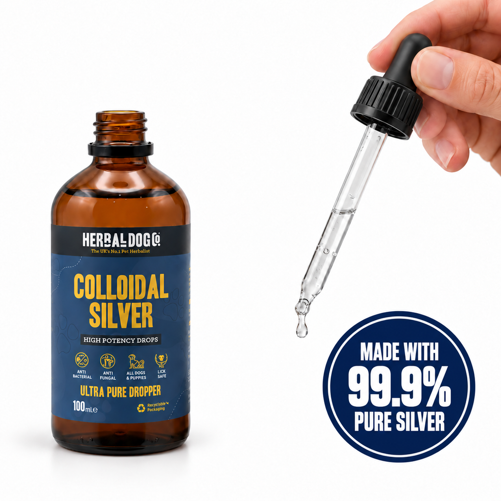 Colloidal Silver Drops