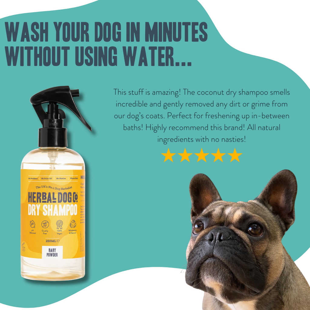 Baby Powder | Botanical Instant Freshening Dry Shampoo