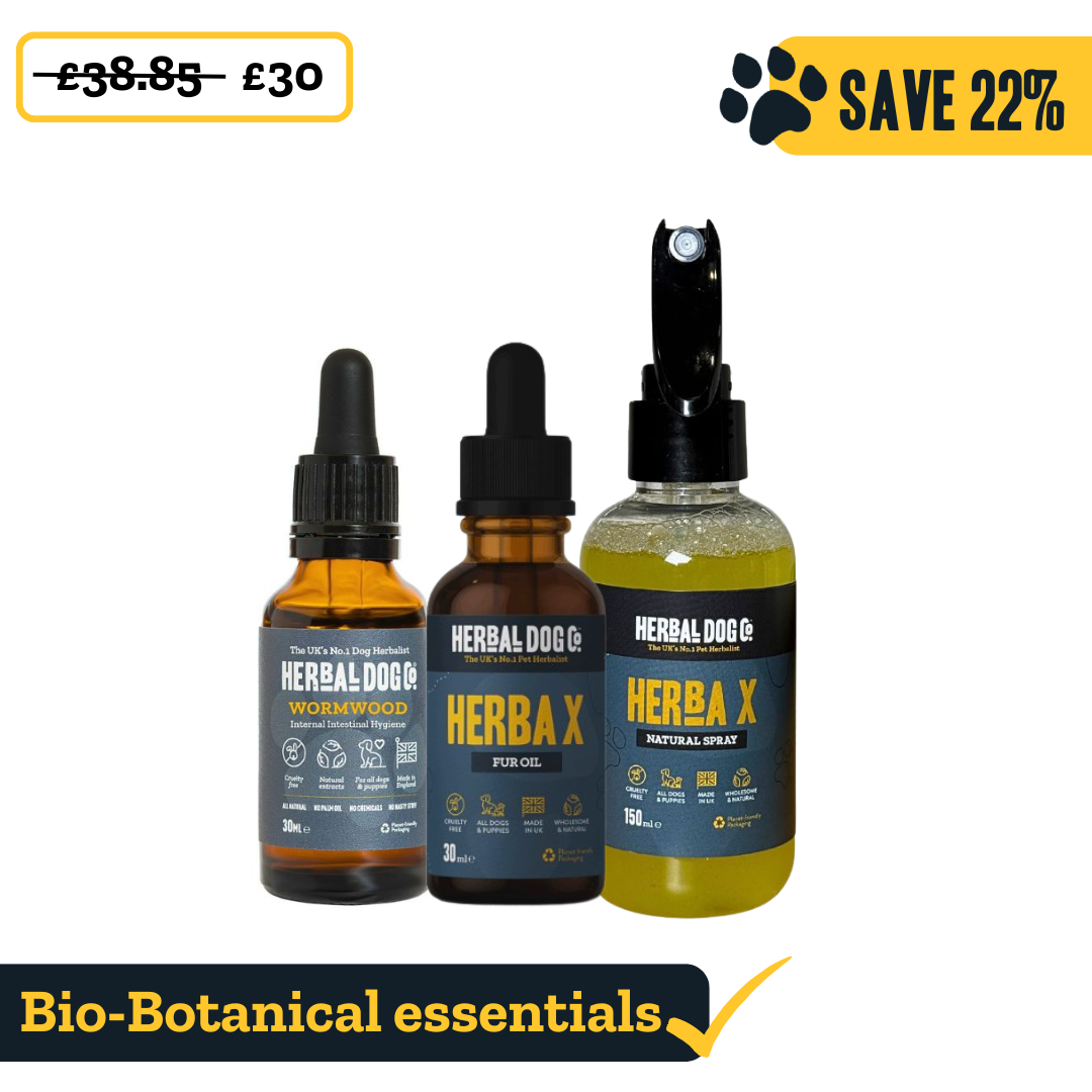 External & Internal Hygiene Complete Kit