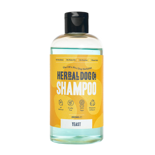 Botanical Dermal Clarifying Wash for dogs – natural rosemary skin-clarifying dog shampoo | Herbal Dog Co