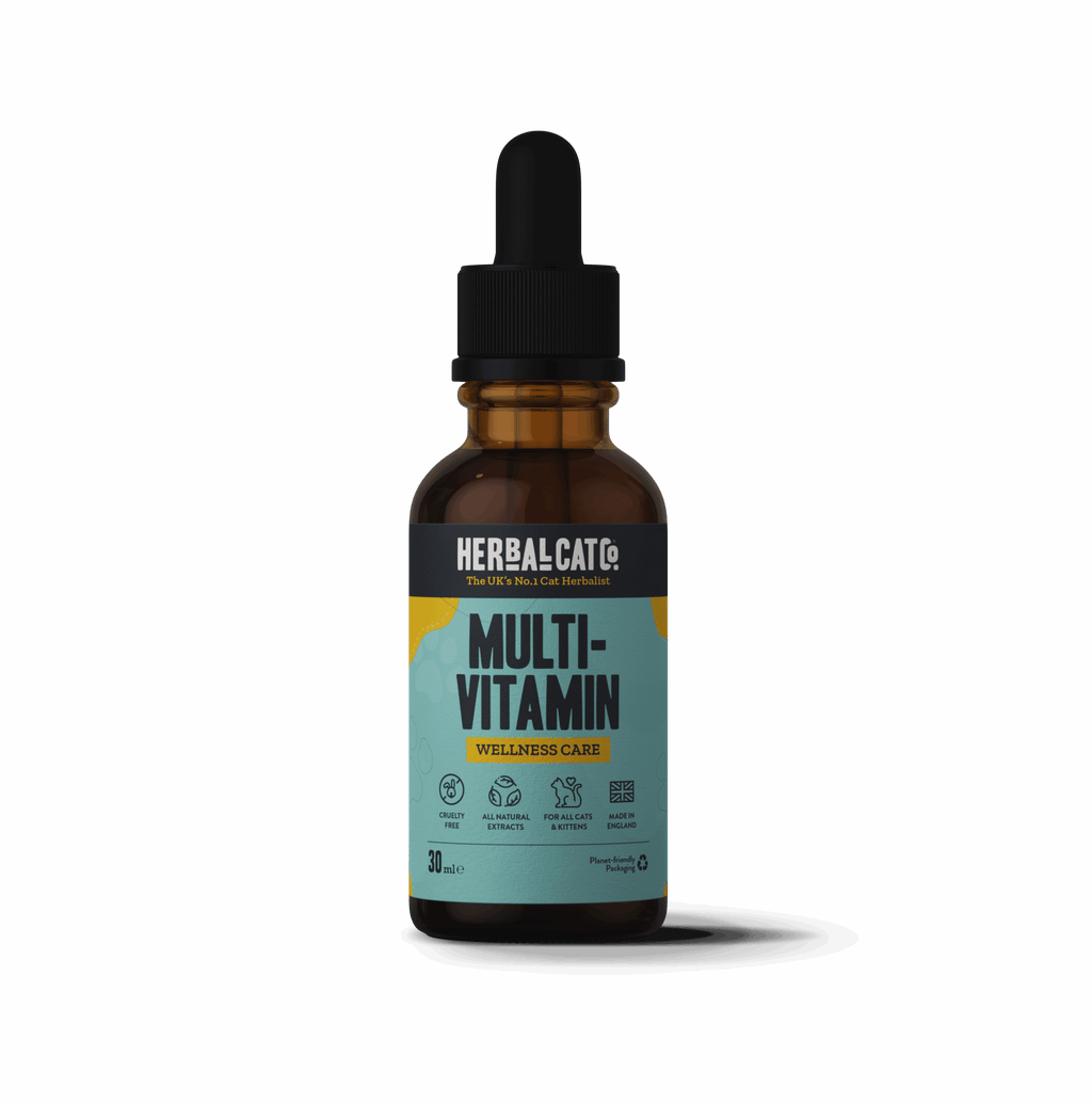 Cat Multivitamin Wellness Care Drops – complete natural daily vitamins for cats | Herbal Dog Co
