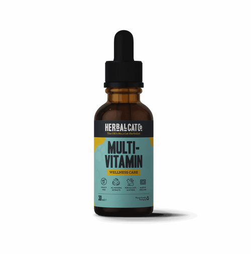 Cat Multivitamin Wellness Care Drops – complete natural daily vitamins for cats | Herbal Dog Co