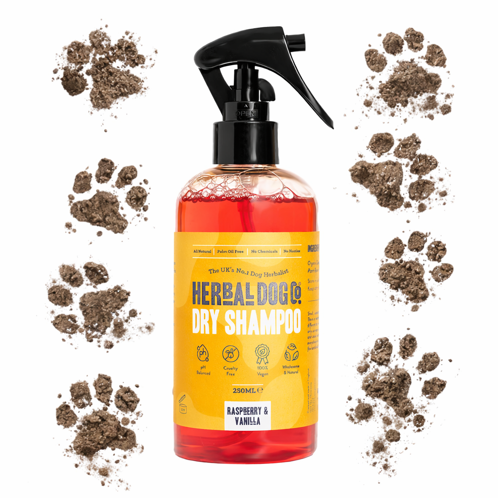 Raspberry & Vanilla | Botanical Instant Freshening Dry Shampoo