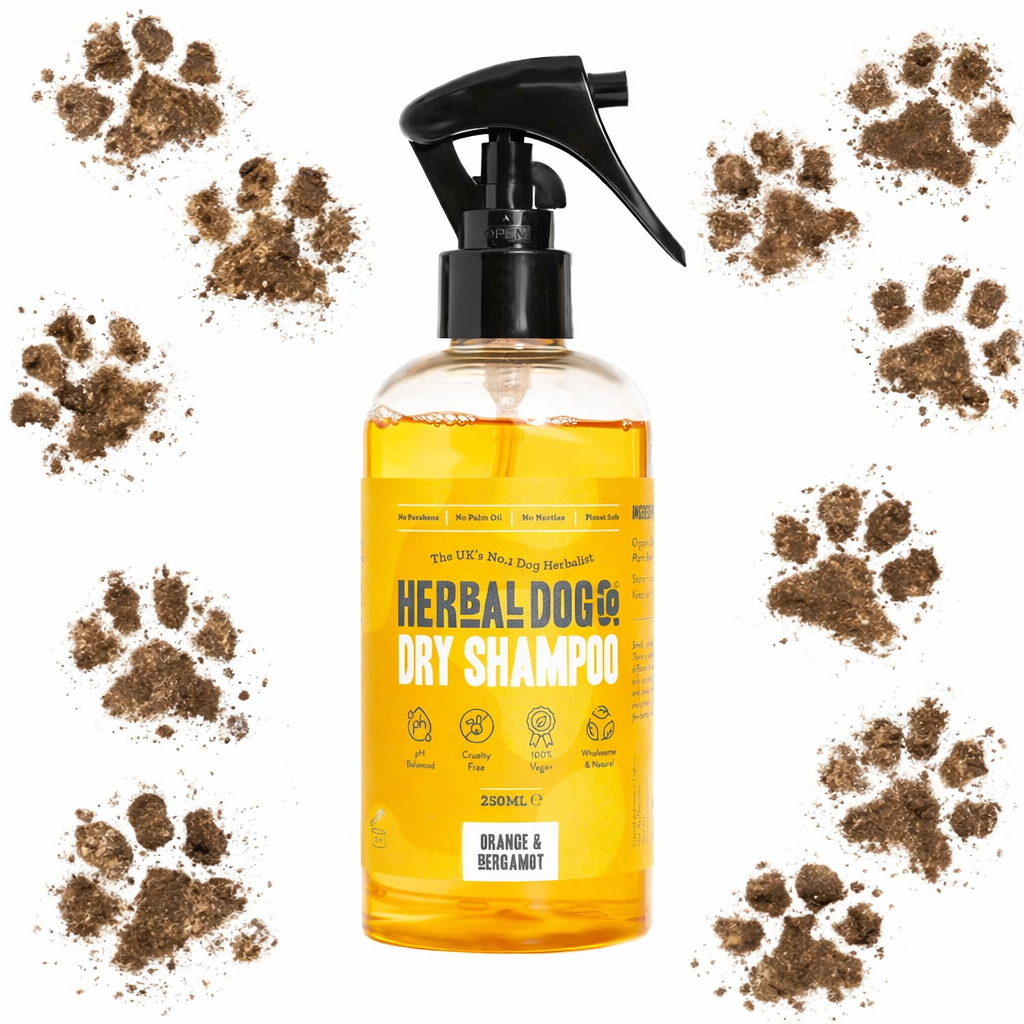 Orange & Bergamot | Botanical Instant Freshening Dry Shampoo