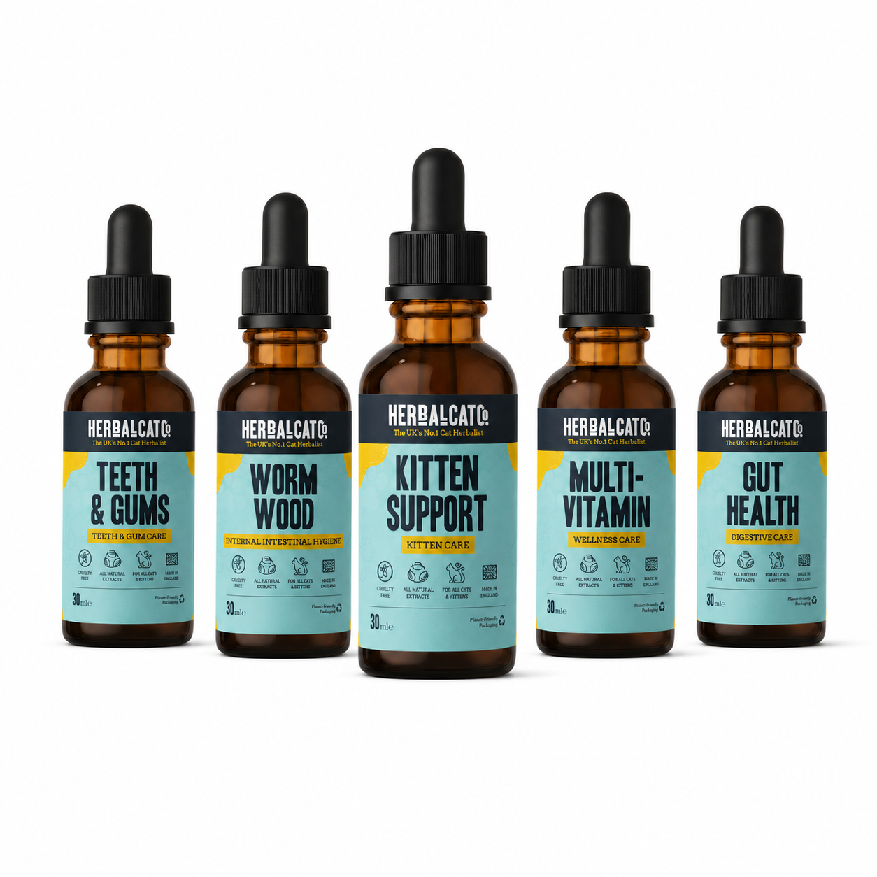 New Kitten Starter Bundle 5 Everyday Wellness Essentials