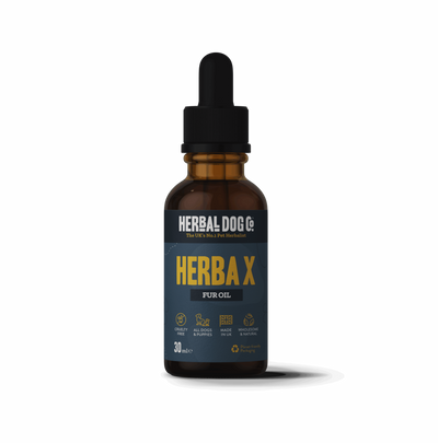 Herba X Aromatic Botanical Coat Oil