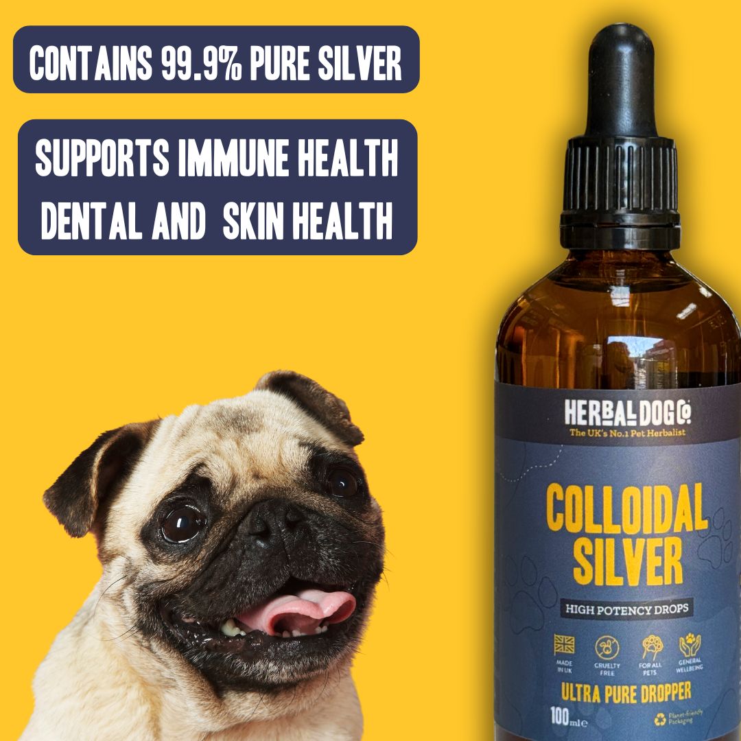 Colloidal Silver Drops