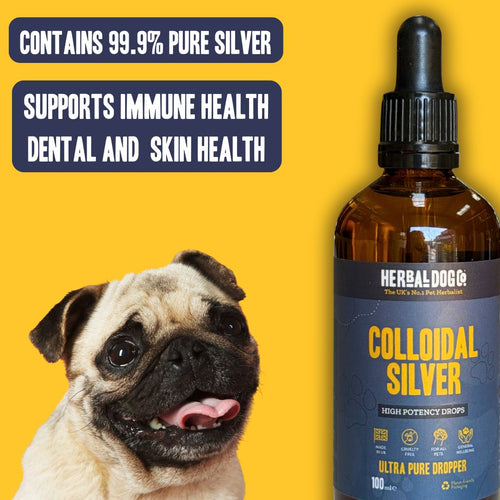Colloidal Silver Drops for dogs – high-potency natural immune & skin support drops | Herbal Dog Co