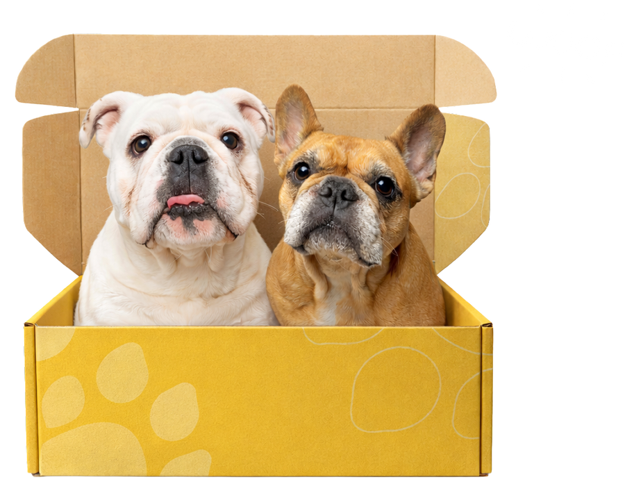 Dog and pet products