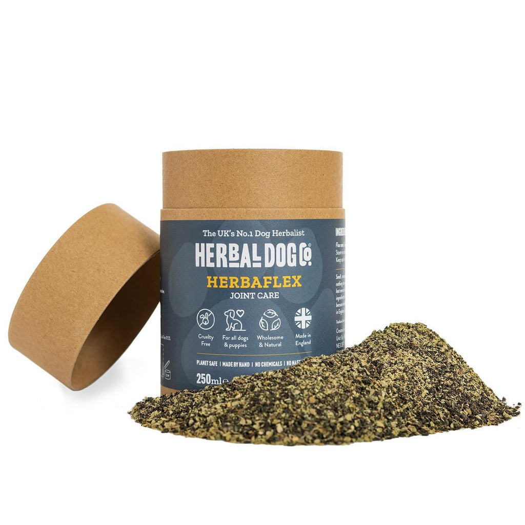 Joints & Mobility Complete Kit for dogs – full natural joint health & mobility bundle | Herbal Dog Co