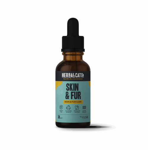 Cat Skin & Fur Drops – natural coat & skin health supplement for cats | Herbal Dog Co