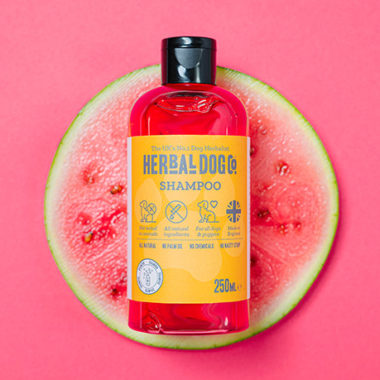 Watermelon Shampoo