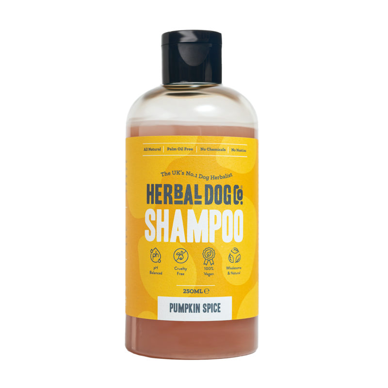 Pumpkin spice all natural Dog shampoo