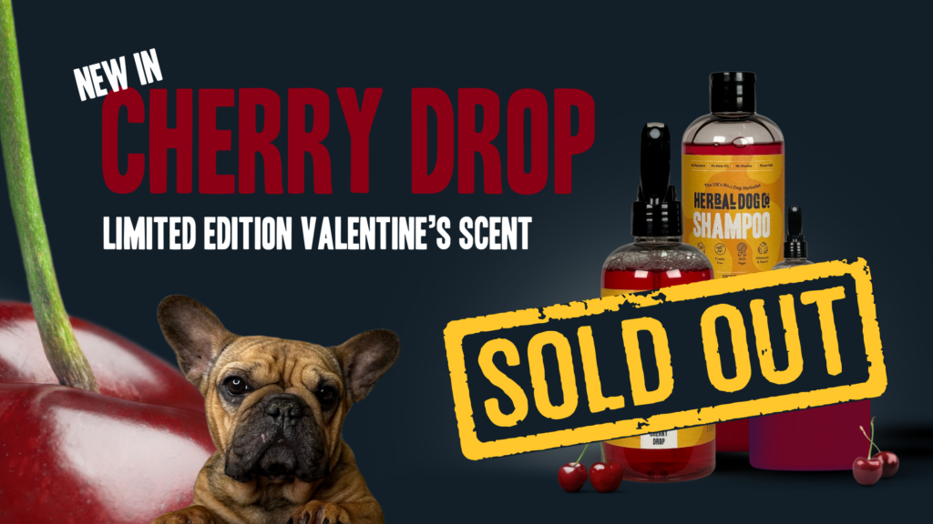 Cherry Drop | Limited Edition Valentine's Scent